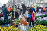 Amsterdam The Netherlands 19th January 2019 National Tulip Day - Nationale Tulpendag 