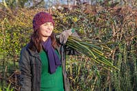 Woman holding large bundle of Cornus - dogwood - cuttings over her shoulder.