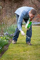 Feeding a lawn with granular lawn feed fertiliser