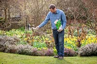 Feeding a lawn with granular lawn feed fertiliser