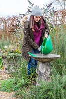 Woman pouring warm, soapy water into bird bath to wash it. 