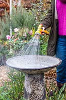 Woman rinsing soapy water from a bird bath with garden hose. 