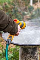Close up of woman rinsing soapy water from a bird bath with garden hose. 