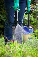 Spraying a large patch of weeds with weed killer using a sprayer