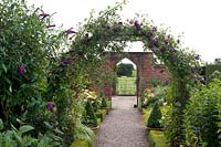 Flowering Clematis 'Madame Julia Correvon covering metal arch in The Long Border at Wollerton Old Hall, Shropshire, UK. 