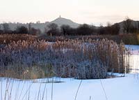 Sunrise over a reedbed - Phragmites communis - with snow and ice in the foreground, looking towards Glastonbury Tor in the distance. Somerset, UK. 