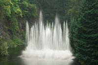 Fountain providing a contrast of movement in a landscape of trees