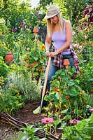 Woman using a long-handled tool for digging soil in a raised bed