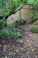 Removing Buxus - Box hedge ruined by Box Moth.
