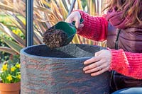 Woman adding gritty compost to decorative container.