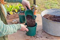 Woman adding gritty compost to plastic pot.