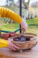 Woman mixing horticultural grit into wooden trug of compost.