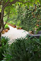 View down to front garden from a verandah, featuring potted fruit trees and rusty raised Cor-Ten steel beds. 