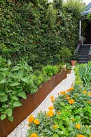 A rectangular rusty Cor-ten steel raised garden bed planted with a mixture of edible herbs and vegetables. 