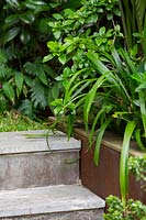 Close up of lush planting in Cor-ten steel raised garden bed next to garden steps. 
