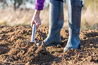 Woman using fork in soil. 