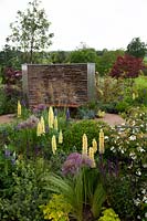 Lupins, Allium, Heuchera 'Lime Marmalade' and Viburnum maresii in the 
Cruse Bereavement Care: A Time for Everything Show Garden 
 