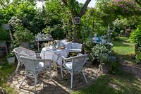 Laid table, wicker chairs and wooden bench under shade of tree in private garden