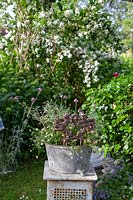 Vintage metal tub on a plinth, container with mixed planting and ornamental figures
