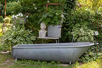 Zinc bathtub with pair of variegated Hosta plants in containers and a display of ornaments