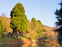 Large evergreen trees provide a dramatic green over the lake. 