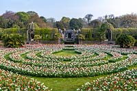 Tulip festival at Arundel Castle Sussex