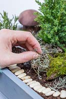 Woman adding lichen as vegetation to Easter Box. 