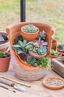 Finished succulent landscape pot with tools on workbench. 