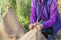 Woman tying hessian on to bamboo teepee covering a tender plant