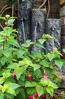 Water feature in a shady corner with a Fuchsia in front 