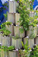 Detail of rocket-pyramid made of ribbed silver tin cans growing various plants including sunflower and marigolds. School garden, RHS Malvern Spring Festival, 2017. O Beoley -wan-Kenobi, Beoley Primary School.