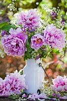  Paeonia - Peonies in a milk can.
