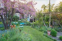 View across lawn to house with rustic pergola, beds and borders and 
Cercis siliquastrum - Judas Tree - with seating underneath
