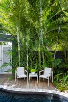 Small urban garden with plenty of privacy thanks to walls, gates and palms, other features include swimming pool, deck and seating area