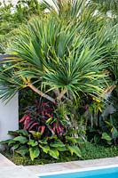 Pandanus utilis in border with other tropical plants. Florida, USA. Garden design by Craig Reynolds Landscape Architecture.
.