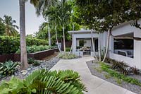 Gravel beds, either side of a path towards dining area near house, with foliage planting such as palms but also Agave plants in corton steel raised bed, Crinum 'Menehune' under window and Zamia furfuracea - Cardboard Cycad in foreground
