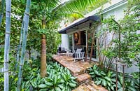 View of tropical planting either side of brick steps up to small terrace outside 
house. Plants include: Bambusa chungii - Blue Bamboo, Satakentia liukiuensis - Palm, variegated ground cover of Aglaonema 'Silver Queen'.
