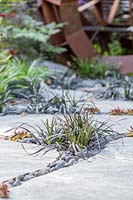 Stepping stone path with Ophiopogon nigrescens and decorative pebbles in the gaps, detail from 
'Elements Mystique Garden', sponsored by Elements Garden Design
