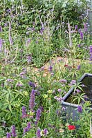 Steel water feature surrounded by Verbena bonariensis, 
Agastache 'Blackadder' and Veronicastrum virginicum 'Fascination' in 
'Southend Young Offenders': A Place to Think' garden
