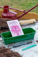 Tools and materials for sowing Cleome hassleriana