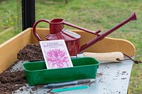 Tools and materials for sowing Cleome hassleriana