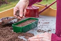 Woman covering seeds in seedtray with compost