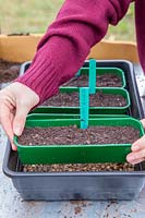 Woman placing seedtray into a propagator