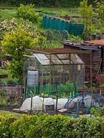 Allotments with fruit brushes and trees and equipment used for growing such as greenhouse, water butt, fencing, row cloches and sheds

