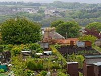 View over an allotment with its sheds and compost bins to the countryside beyond