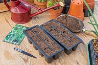 Material and tools ready for sowing Summer Savoury - Satureja hortensis