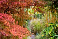 Acer palmatum and Phyllostachys aureosulcata f. spectabilis create a frame into the sunken garden filled with grasses at Barn House, Chepstow, UK. 