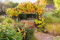 Vine covered arbour and dining area in the sunken garden, surrounded by grasses and red flowered Dahlia 'Bishop of Llandaff' at the Barn House, Chepstow, UK. 