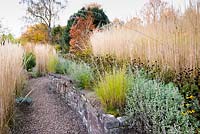 Retaining wall in curved, terraced, sloping garden with planting pockets for Eragrostis curvula, and lines of catmint, Rudbeckia fulgida var. deamii and Calamagrostis x acutiflora at Barn House, Chepstow, UK. 