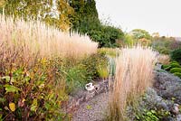 Retaining wall in curved, terraced, sloping garden with planting pockets for Eragrostis curvula, and lines of catmint, Rudbeckia fulgida var. deamii and Calamagrostis x acutiflora at Barn House, Chepstow, UK. 